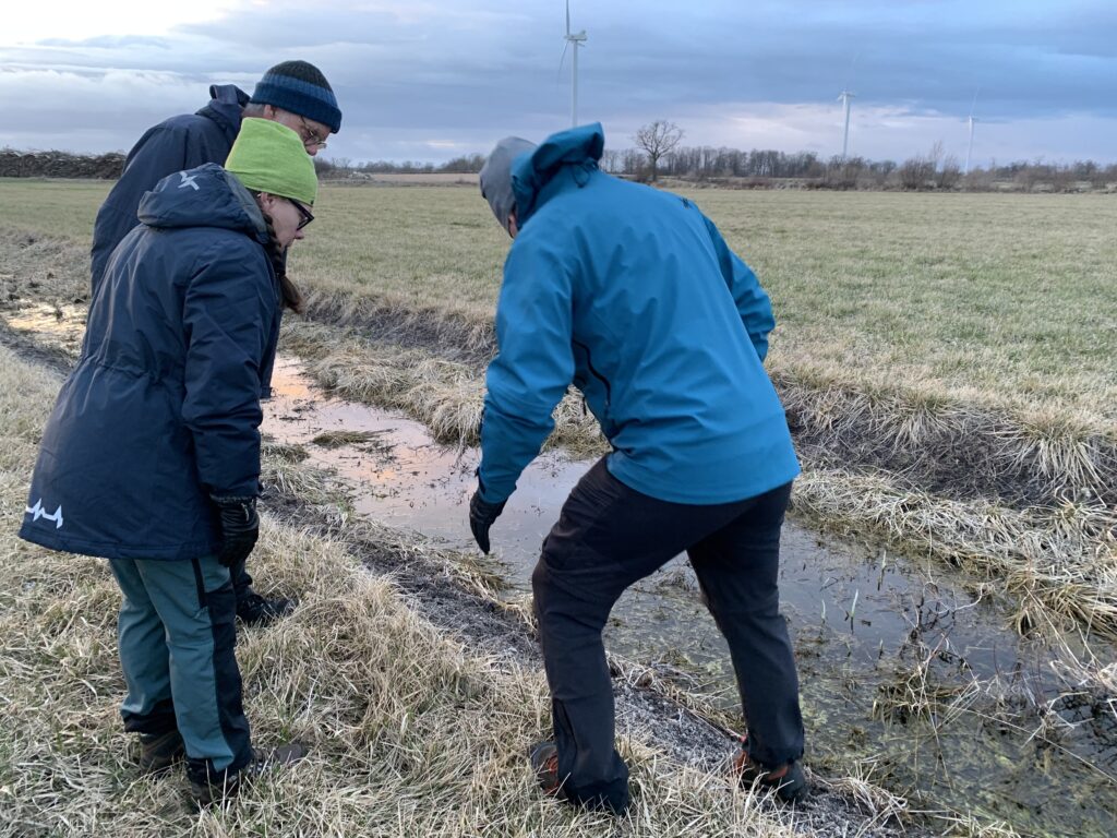 Tvåstegsdike Öland